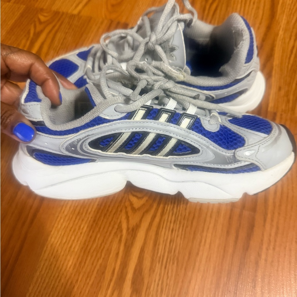 Blue and Gray Adiddas